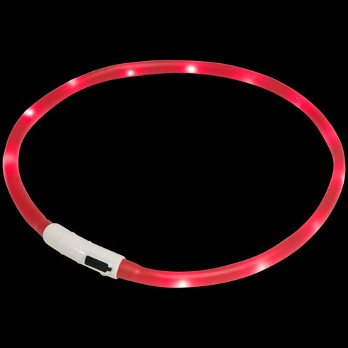 Zgardă LED Reîncărcabilă pentru Câini - Vizibilitate Maximă și Siguranță pe Întuneric