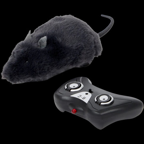 Șobolan cu telecomandă