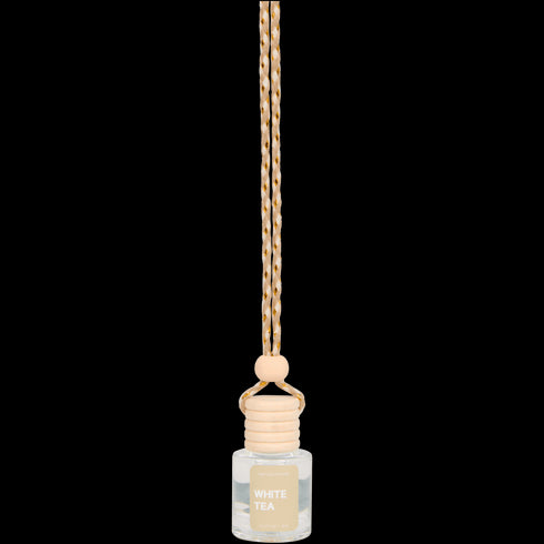 Odorizant Auto & Casă cu Parfum Proaspăt de Agățătoare - Acțiune Retail Romania SRL