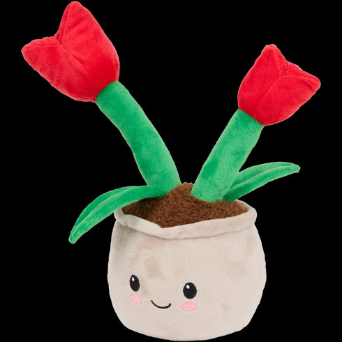 Plantă de pluș în ghiveci