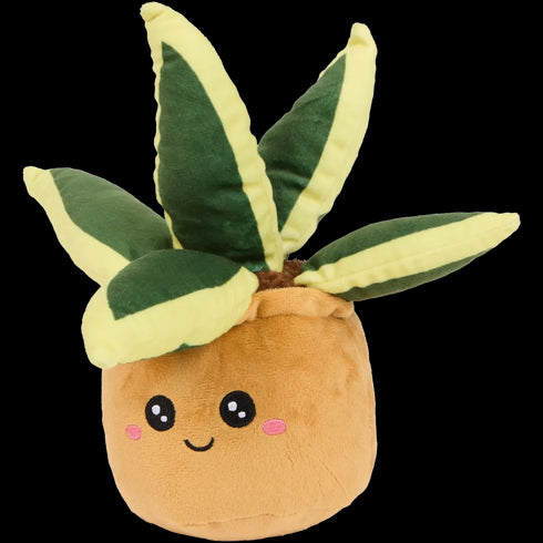 Plantă de pluș în ghiveci