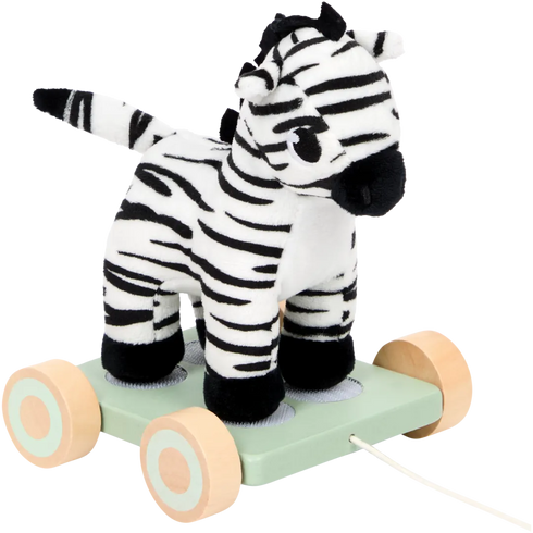 Jucărie de tras Mini Matters