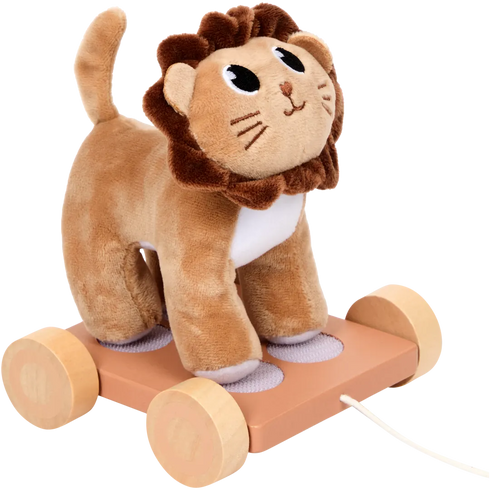 Jucărie de tras Mini Matters