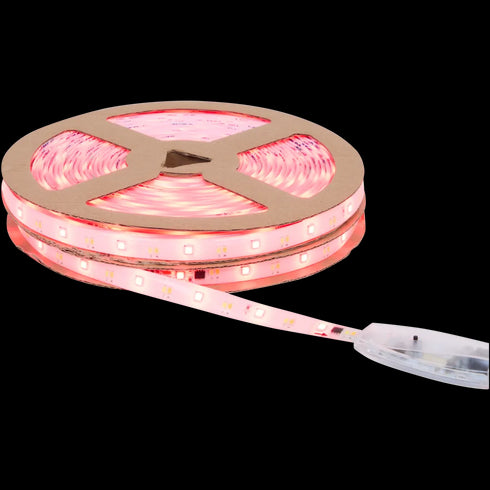 Bandă LED Inteligentă LSC Smart Connect - 20m, 1400 Lumeni, Control prin Aplicație și Telecomandă