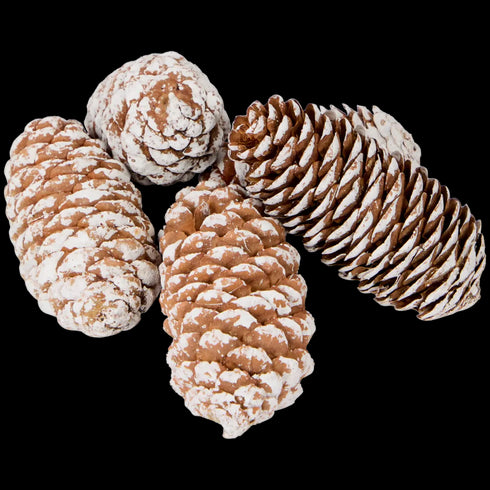 Mix Deosebit de Decorațiuni de Toamnă - Accesorii Naturale pentru Casă