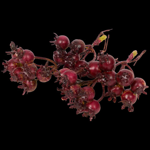 Mix Deosebit de Decorațiuni de Toamnă - Accesorii Naturale pentru Casă