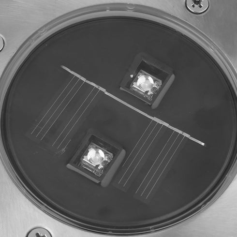 Set 3 lampi solare LED Solar Powered tip spot pentru gradina, 2 leduri, buton On/Off, Rezistente la Apa IP65,