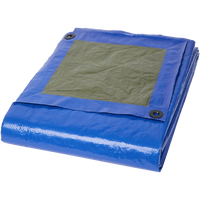 Prelată Profesională Werckmann - Protecție Durabilă pentru Orice Lucrare